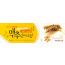 76016a-맥추감사절