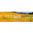 76061a-맥추감사절