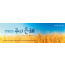 76079a-맥추감사절