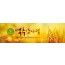 76081a-맥추감사절
