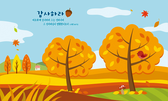 77250a-감사나무