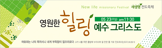 52033a-새생명