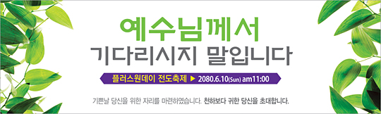 52036a-새생명