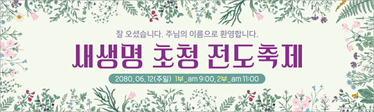 52084a-새생명