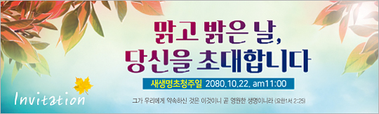 52106a-새생명