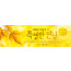 52192a-새생명