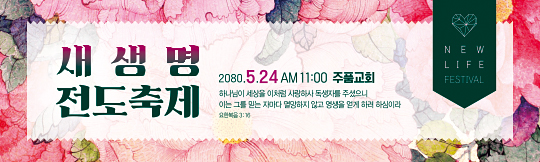 52211a-새생명