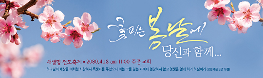 52228a-새생명