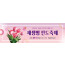 52233a-새생명