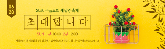 52234a-새생명