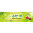 52243a-새생명
