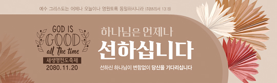 52267a-새생명