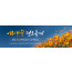 52274a-새생명