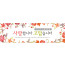 54082a-스승의주일
