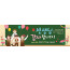 54169a-스승의주일