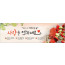 54198a-가정의달
