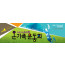 55009a-체육대회