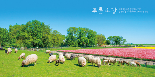 35154a-강대상배경