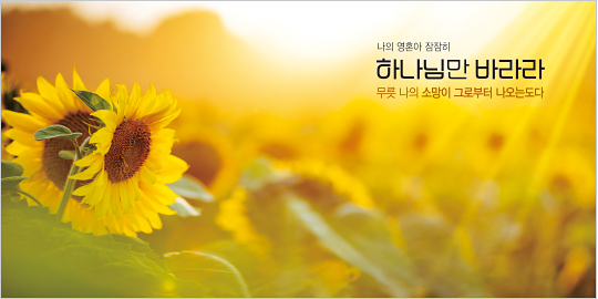 35156a-강대상배경