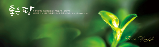 32143a-말씀