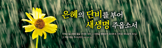 32248a-말씀