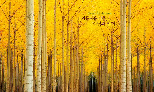 38285a-포토존