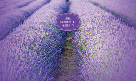 38286a-포토존