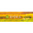 31135a-환영합니다