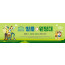 13258a-여름성경학교