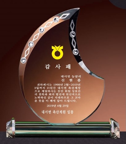 DD24-175-03 보석 스마트 기념패