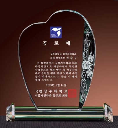 DD24-179-03 스마트 기념패