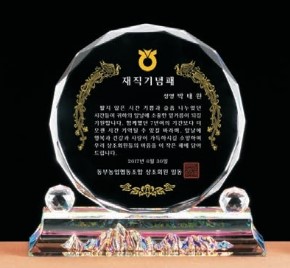 DD24-203-08 크리스탈 상패