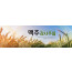 76117a-맥추감사절