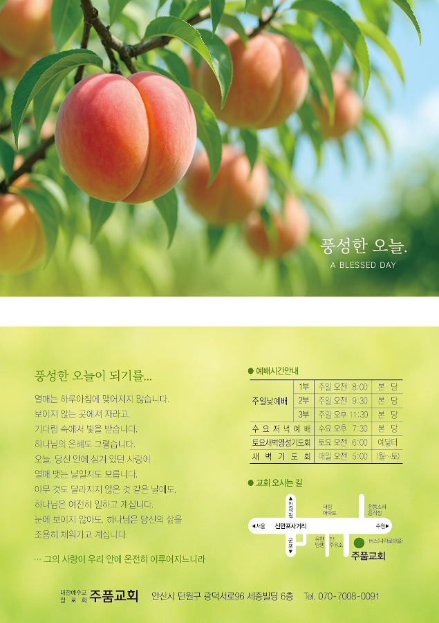 p4129_엽서전도지