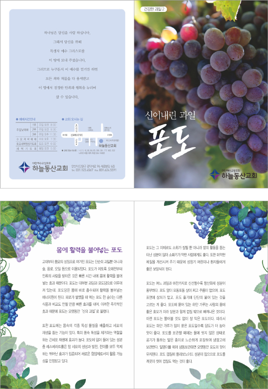 p54066-건강한과일2