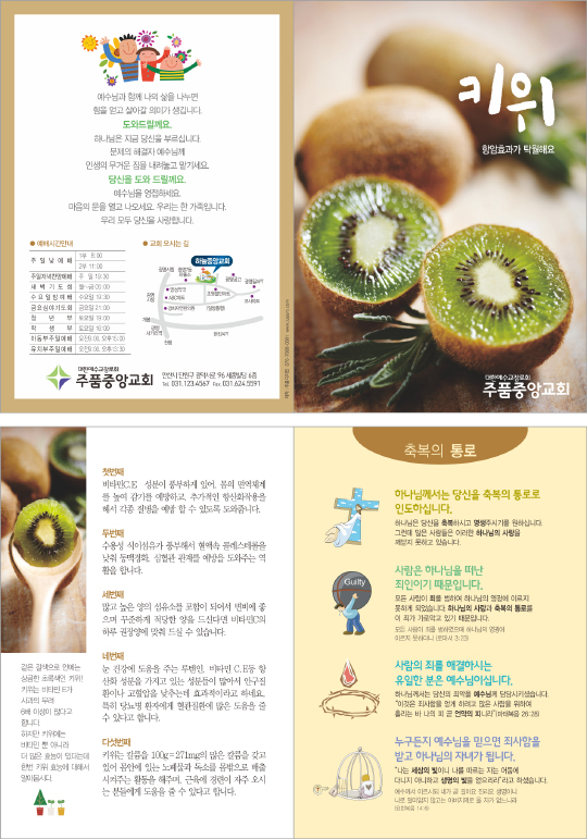 p54107-과일-키위