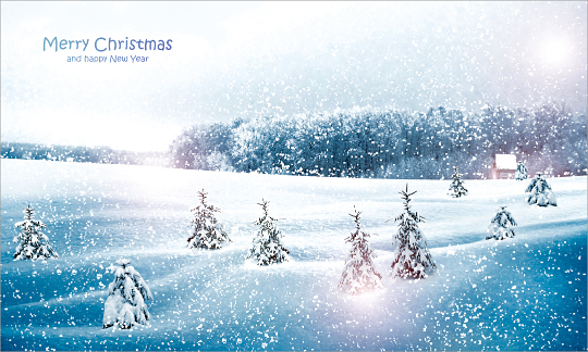 78400a-성탄절 포토존