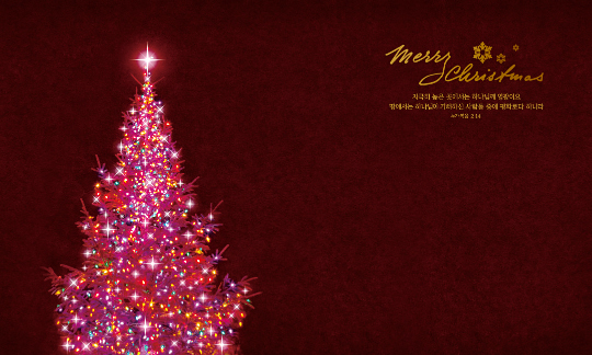 78403a-성탄절 포토존